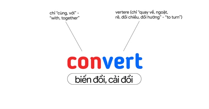 vocabulary containing the -vert- and -vers roots