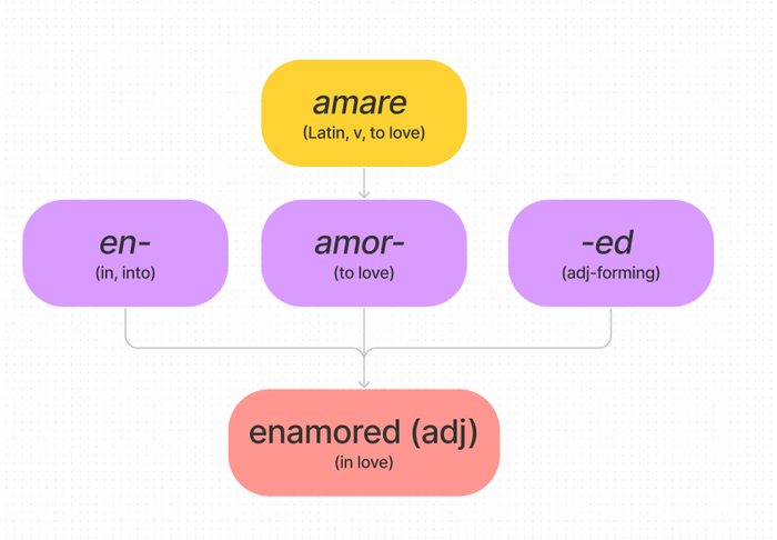 học từ vựng qua gốc từ enamored