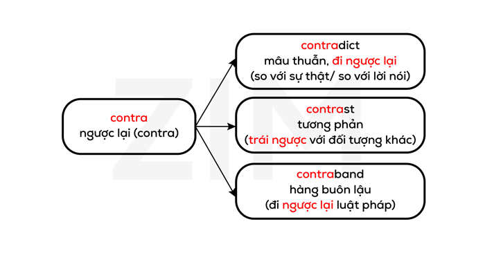 goc-tu-latin