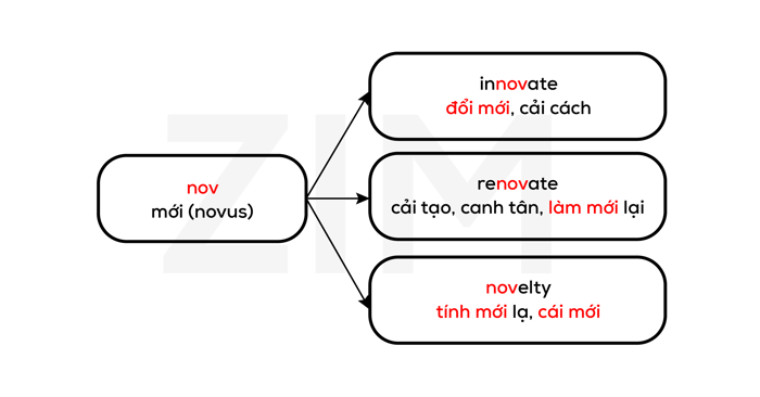 goc-la-tu-latin