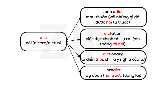 nhan-tu-la-tin