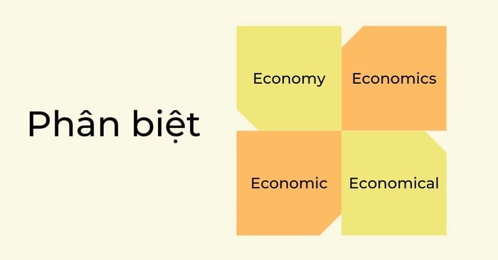 phân biệt chi tiết economy economics economic economical