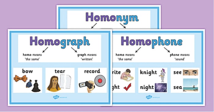 phan-loai-homonym