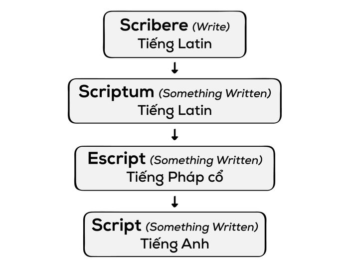 Learning vocabulary in English with the root word structure of the script diagram