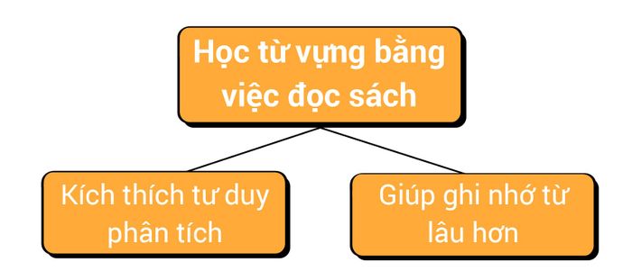 loi-ich-cua-hoc-tu-vung-qua-viec-doc-sach