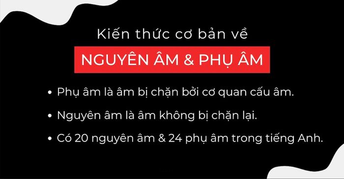 các nguyên tố ngữ âm và phụ âm trong tiếng anh định nghĩa và phân loại