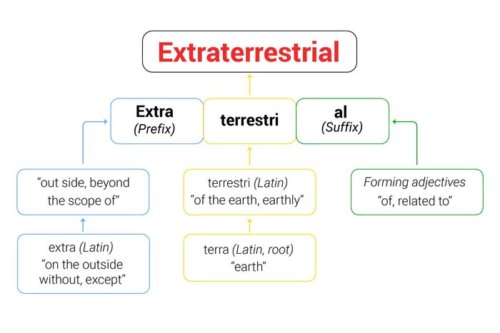 etymology-vi-du