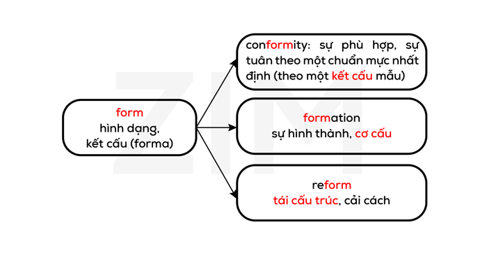 goc-la-tu-latin