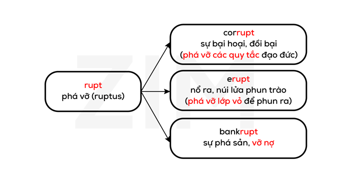 goc-tu-latin