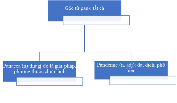 học từ vựng qua gốc từ gốc từ pan