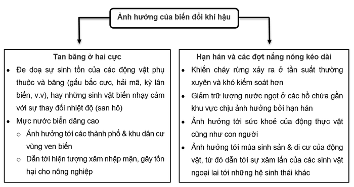 Learning vocabulary by topic from the IELTS Speaking sample mini series 7 environment part 5 impact effect