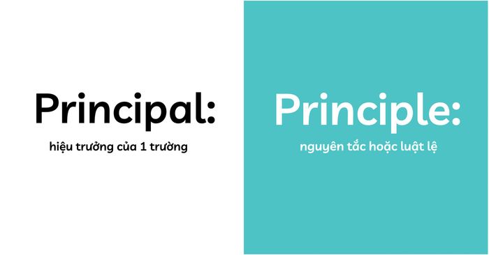 cac-cap-danh-tu-de-nham-lan-principal-principle