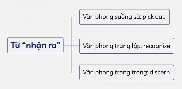 phan-loai-tu-dong-nghia-tu-van-phong