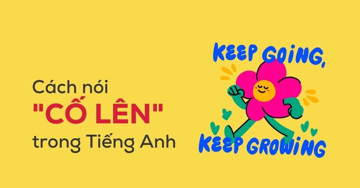 hướng dẫn cách diễn đạt co len trong tiếng anh