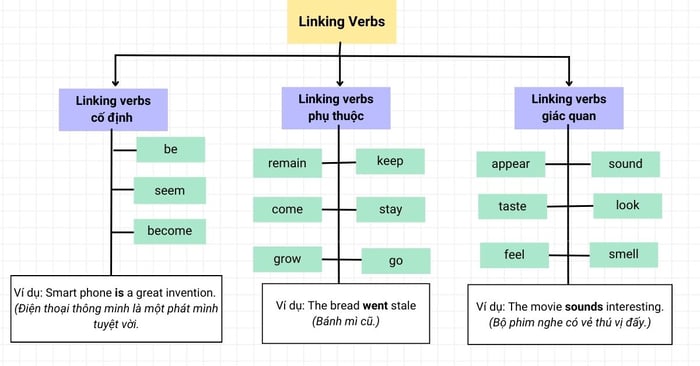 ngữ pháp linking verb ở lớp 11