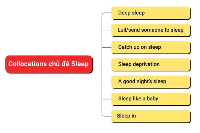 collocations-chu-de-sleep-01