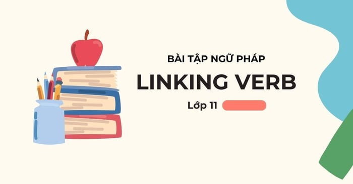 Bài tập về linking verb dành cho học sinh lớp 11 có đáp án kèm theo giải thích chi tiết