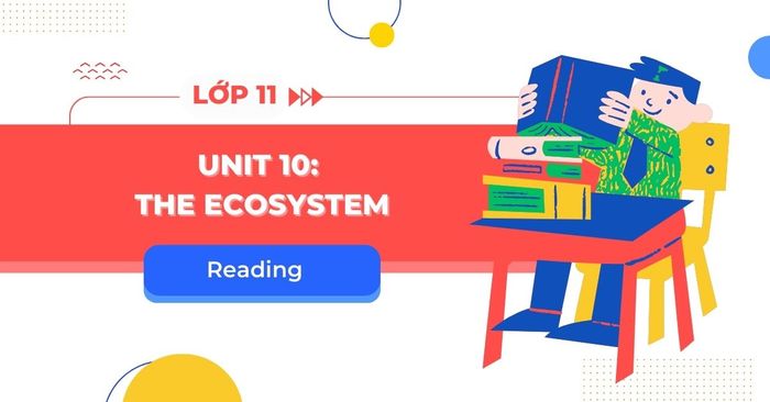 reading unit 9 tieng anh 11 global success trang 103 104