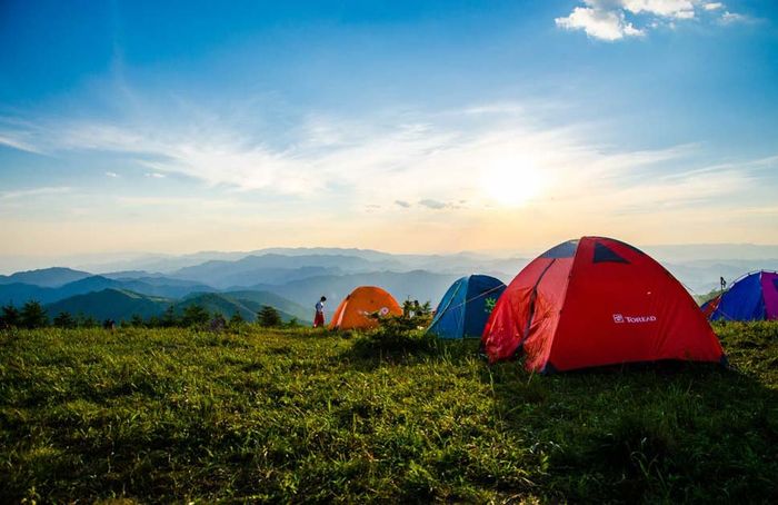 Chia động từ cho các đại từ ngôi thứ ba