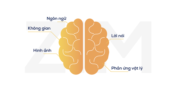 phân loại phương pháp ghi nhớ Loci