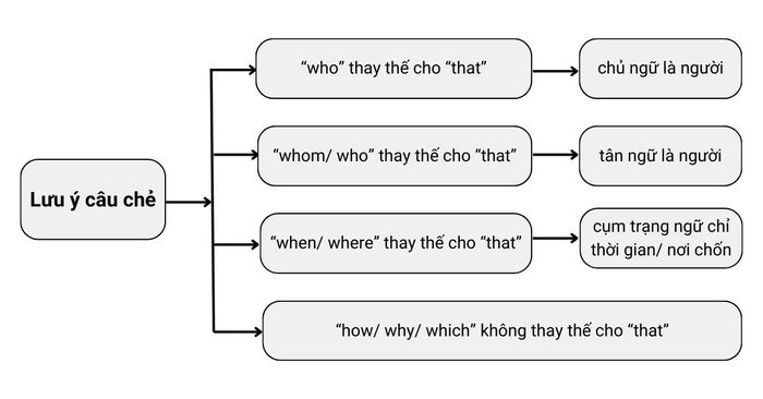 lý thuyết về câu chẻ ở lớp 11