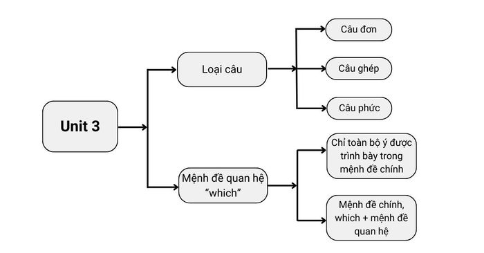 Ngữ pháp chủ đề 3 lớp 12