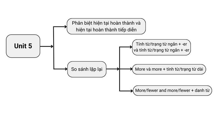 Ngữ pháp chủ đề 5 lớp 12