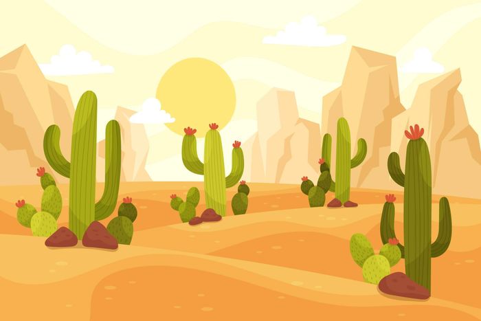 office-topic-vocabulary-desert