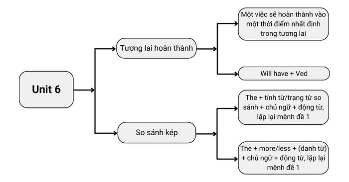 Ngữ pháp chủ đề 6 lớp 12