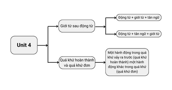 Ngữ pháp chủ đề 4 lớp 12