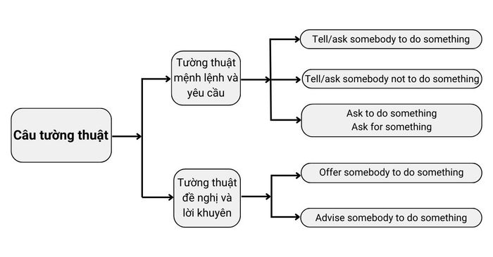 Ngữ pháp chủ đề 8 lớp 12