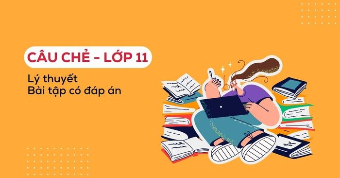 câu chẻ lớp 11 - học và thực hành