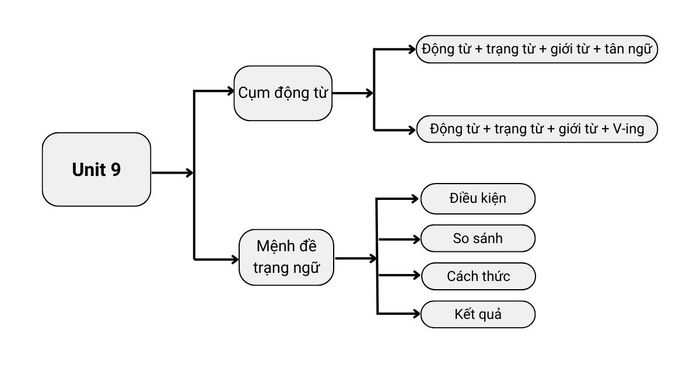 Ngữ pháp chủ đề 9 lớp 12