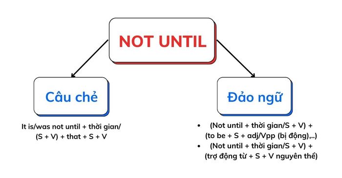 Các cách kết cấu Not until trong tiếng Anh