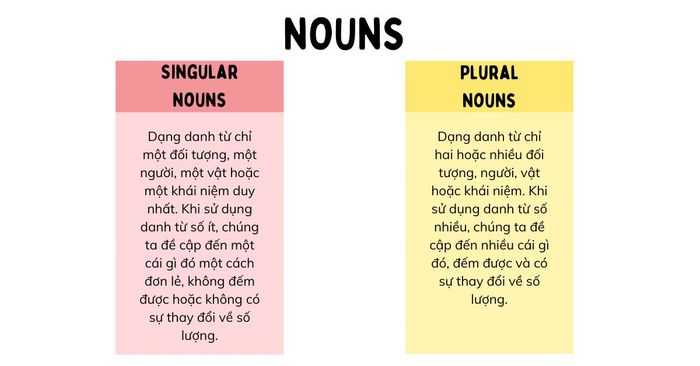 Phân biệt giữa danh từ số ít và danh từ số nhiều