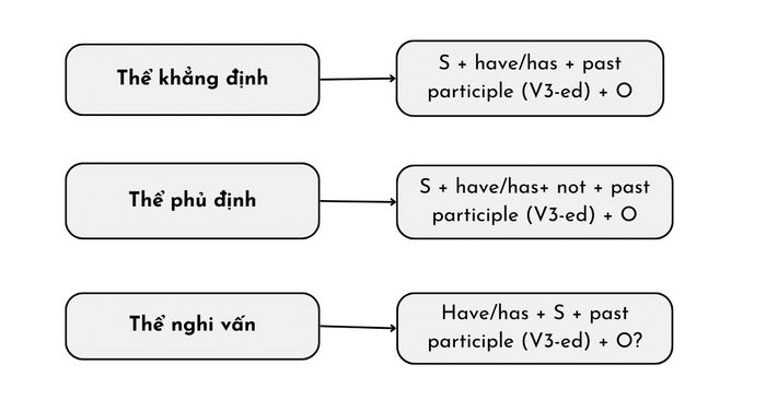 Overview of the present perfect tense