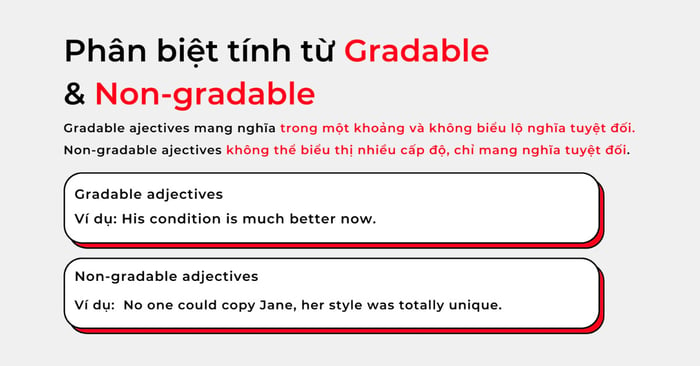 Distinguish gradable and non-gradable adjectives usage and exercises