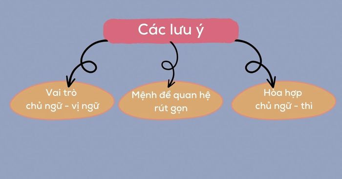 Những ghi chú về mệnh ngữ quan hệ xác định