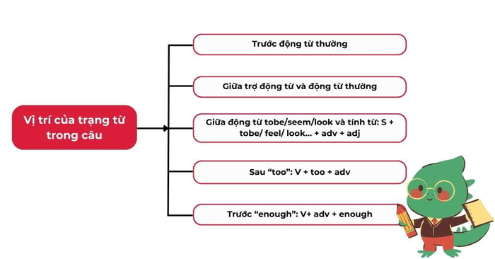 Vị trí của trạng từ