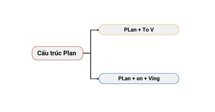 cấu trúc của plan