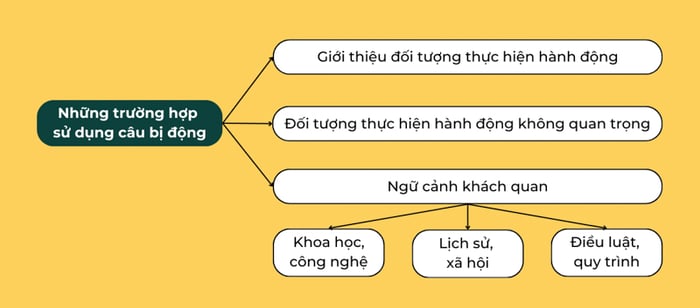 Các trường hợp dùng câu bị động