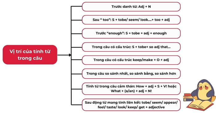 Các vị trí của tính từ