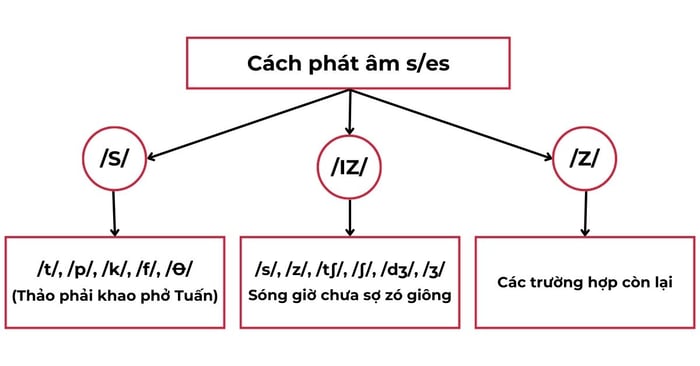 mẹo nhớ quy tắc phát âm s, es 