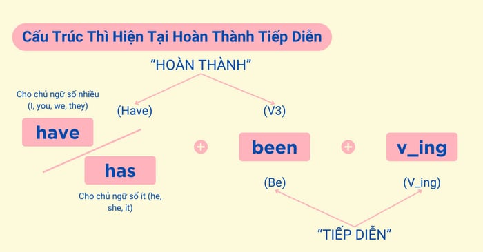 Present Perfect Continuous Tense (Present Perfect Continuous)