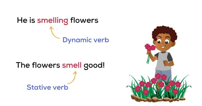 Ví dụ về stative verb