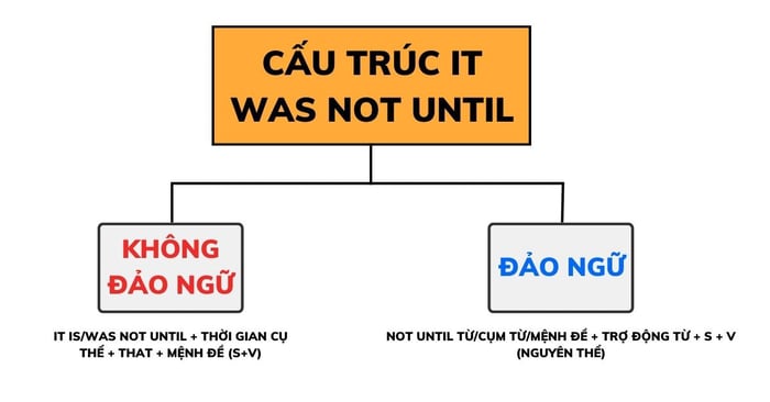 Cấu trúc It was not until bị đảo ngữ