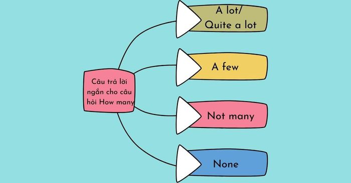 Cách sử dụng cấu trúc how many - Đáp án