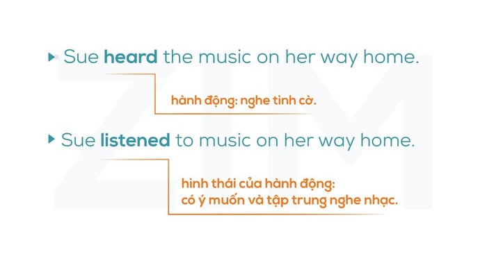 dong-tu-chi-hanh-dong-action-verbs