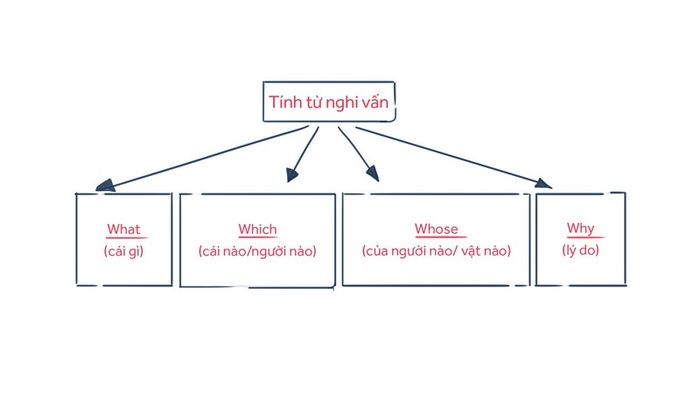 mẫu câu tính từ hỏi trong tiếng Anh