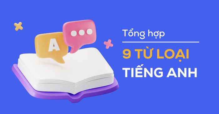 tổng hợp 9 loại từ trong tiếng Anh và chức năng trong câu